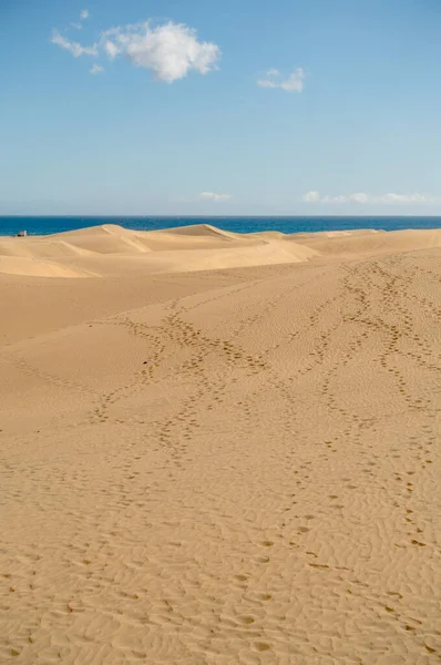 Дюны Maspalomas Grand Canary Spain — стоковое фото