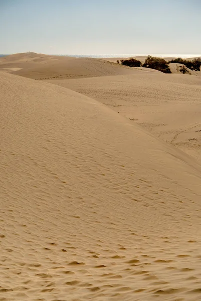 Дюны Maspalomas Grand Canary Spain — стоковое фото