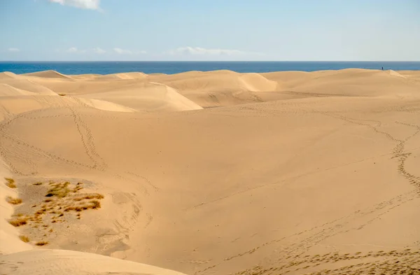 Dunes Maspalomas Grand Canary Spain — Fotografia de Stock