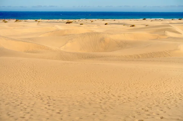Dunes Maspalomas Grand Canary Spain — Stockfoto