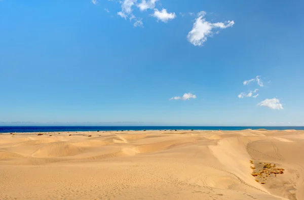 Dunes Maspalomas Grand Canary Spain — Stok fotoğraf