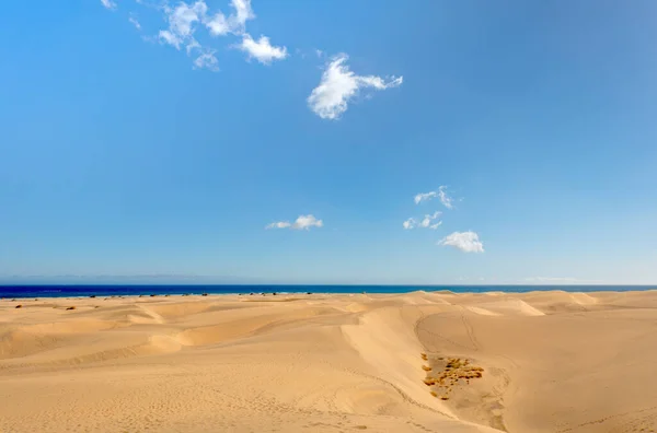 Дюни Маспаломі Велика Канарка Іспанія — стокове фото