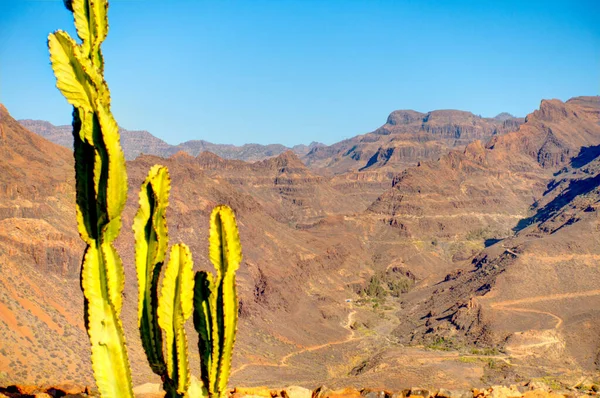 Fataga Ravine Grand Canary Island Spain — Stock fotografie