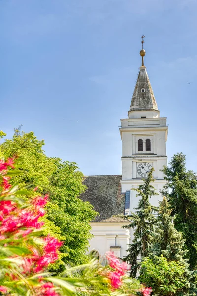 Hodmezovasarhely Hungary May 2022 Historical Center Sunny Weather — Stockfoto