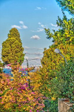 Istanbul, Turkey - November 2020 : Bykada in autumn, Princes Islands 