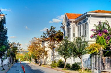 Istanbul, Turkey - November 2020 : Bykada in autumn, Princes Islands 