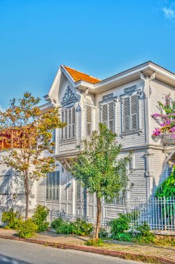 Istanbul, Turkey - November 2020 : Bykada in autumn, Princes Islands 