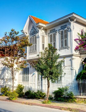 Istanbul, Turkey - November 2020 : Bykada in autumn, Princes Islands 