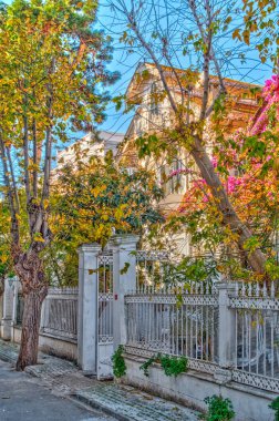 Istanbul, Turkey - November 2020 : Bykada in autumn, Princes Islands 