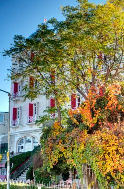 Istanbul, Turkey - November 2020 : Bykada in autumn, Princes Islands 