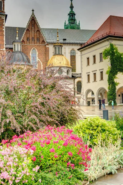 Κρακοβία Πολωνία Αύγουστος 2021 Κάστρο Wawel Συννεφιασμένο Καιρό — Φωτογραφία Αρχείου