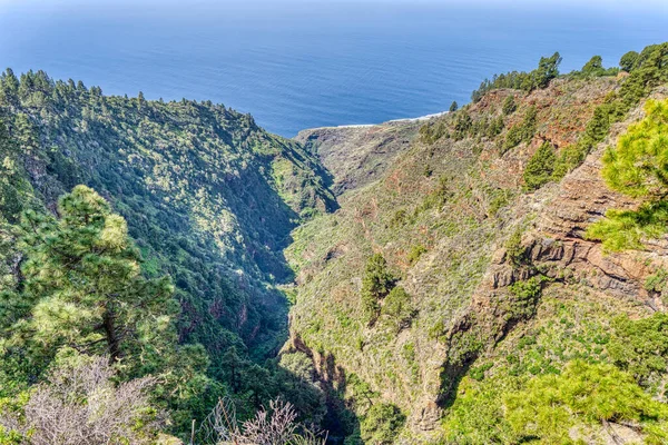 Roque Los Muchachos Palma Island Spain — Stok fotoğraf