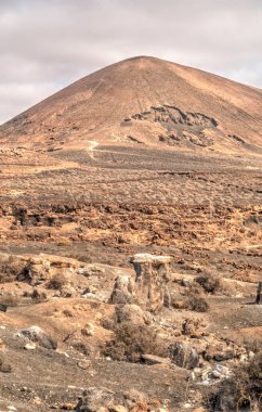 Volcanic landscape in the countryside of Lanzarote Island 