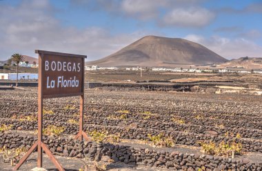 La Geria wine region, Lanzarote, Spain
