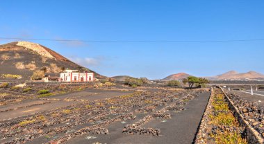 La Geria wine region, Lanzarote, Spain