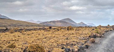 volcanic landscape in Timanfaya National Park, Lanzarote, HDR Image