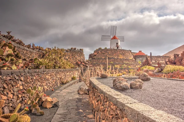 Cactus Garden Lanzarote Hdr Image —  Fotos de Stock