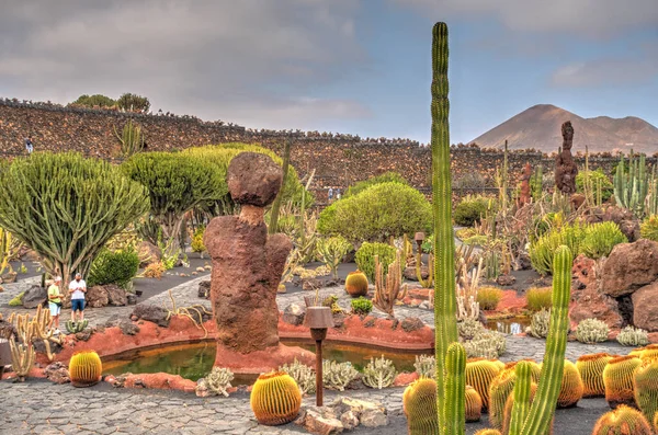 Cactus Garden Lanzarote Hdr Image —  Fotos de Stock