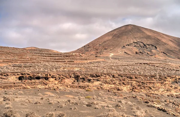 Volcanic Landscape Countryside Lanzarote Island — Stock Fotó