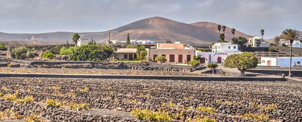 Geria Wine Region Lanzarote Spain — Stok fotoğraf