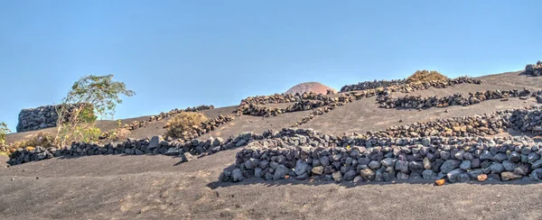 Geria Wine Region Lanzarote Spain — Zdjęcie stockowe