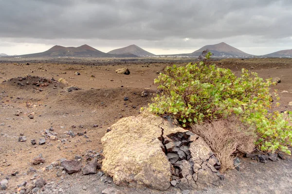Volcanic Landscape Timanfaya National Park Lanzarote Hdr Image — Stock fotografie