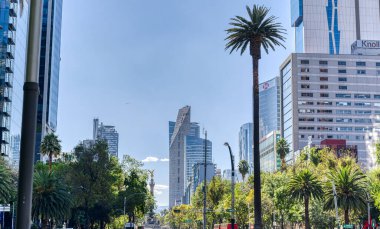 Mexico City, Mexico - January 2022 : Condesa neighborhood in sunny weather, HDR 