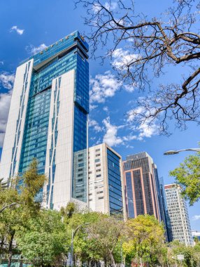 Mexico City, Mexico - January 2022 : Condesa neighborhood in sunny weather, HDR 