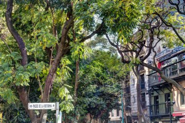 Mexico City, Mexico - January 2022 : Condesa neighborhood in sunny weather, HDR 