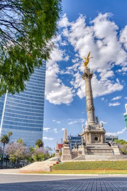 Mexico City, Mexico - January 2022 : Condesa neighborhood in sunny weather, HDR 