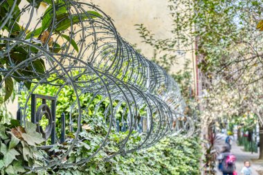Mexico City, Mexico - January 2022 : Condesa neighborhood in sunny weather, HDR Image