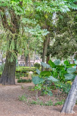 Mexico City, Mexico - January 2022 : Condesa neighborhood in sunny weather, HDR Image