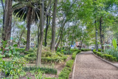 Mexico City, Mexico - January 2022 : Condesa neighborhood in sunny weather, HDR Image