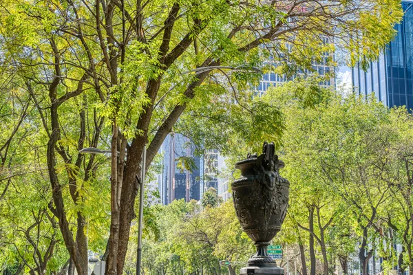 Mexico City Mexico January 2022 Condesa Neighborhood Sunny Weather Hdr — Stok fotoğraf