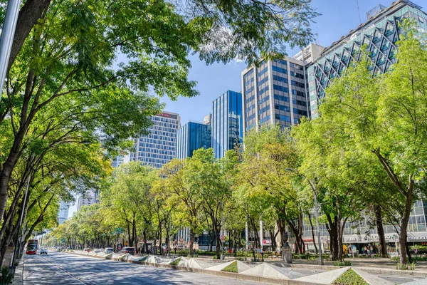 Mexico City Mexico January 2022 Condesa Neighborhood Sunny Weather Hdr — Stok fotoğraf