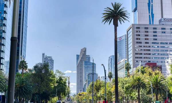 Mexico City Mexico January 2022 Condesa Neighborhood Sunny Weather Hdr — ストック写真