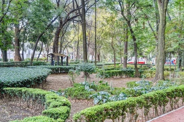 Mexico City Mexico January 2022 Condesa Neighborhood Sunny Weather Hdr —  Fotos de Stock