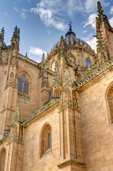 Salamanca Spain June 2021 Main Cathedral Summertime — Stockfoto