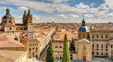 Salamanca, Spain - June 2021 : Main Cathedral in summertime clipart