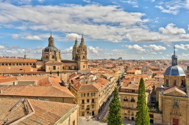 Salamanca, Spain - June 2021 : Main Cathedral in summertime