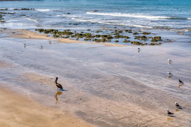 Mazatlan, Mexico - January 2022 : Cerritos beach in sunny weather,