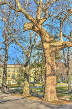 Szeged, Hungary - March 2021: Historical center in sunny weather, HDR Image
