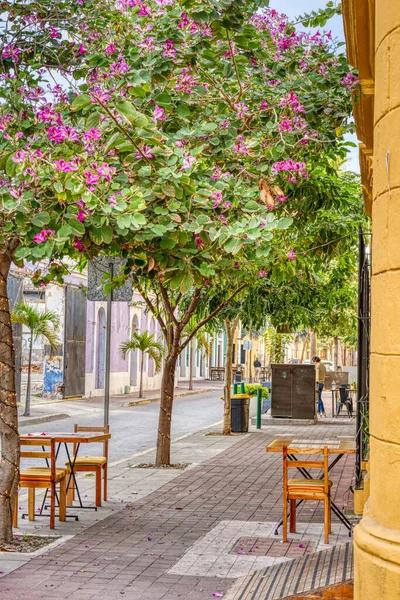 Mazatlan Sinaloa Mexico January 2022 Historical Center Sunny Weather — Fotografia de Stock