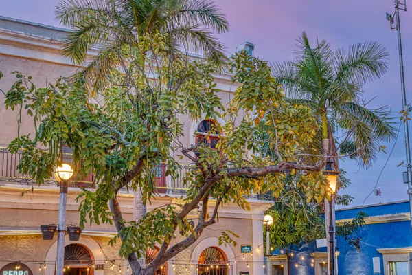 Mazatlan Sinaloa Mexico January 2022 Historical Center Sunny Weather — Stockfoto