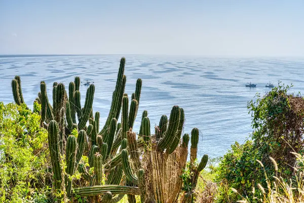 Mazatlan Mexico January 2022 Cerritos Beach Sunny Weather — Zdjęcie stockowe