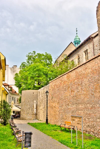 Sopron Hungary June 2020 Historical Center Summertime — Zdjęcie stockowe
