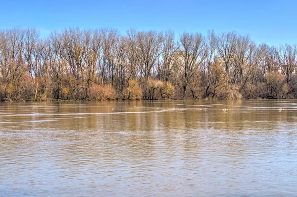 Szeged Hungary February 2020 Tisza River Wintertime — Stok fotoğraf