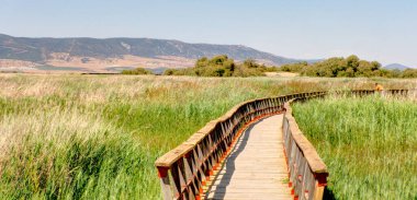 Tablas de daimiel Milli Parkı, İspanya