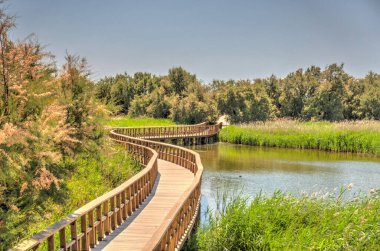 Tablas de daimiel Milli Parkı, İspanya