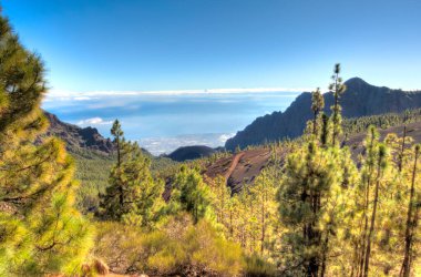 Teide Milli Parkı, tenerife, İspanya